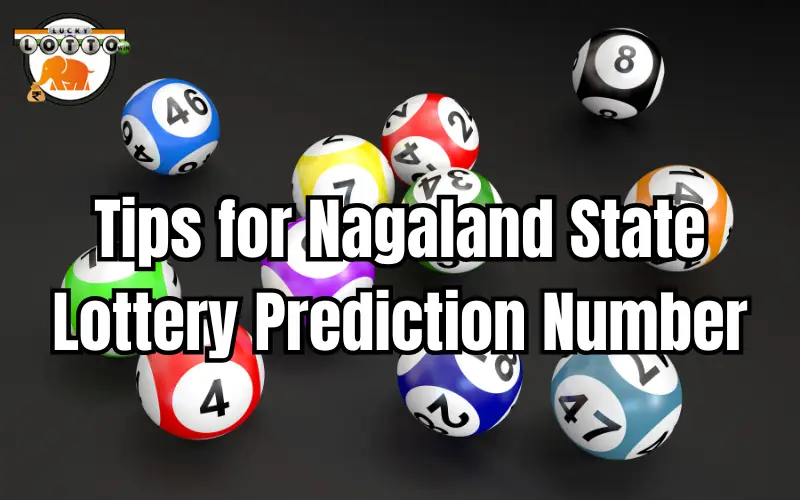 nagaland state lottery prediction number