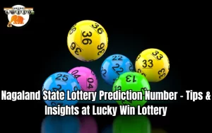 nagaland state lottery prediction number